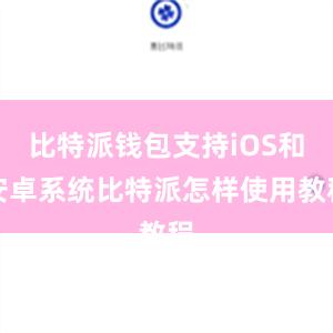 比特派钱包支持iOS和安卓系统比特派怎样使用教程