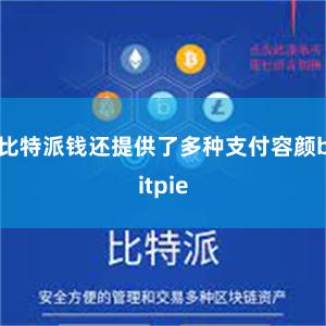 比特派钱还提供了多种支付容颜bitpie